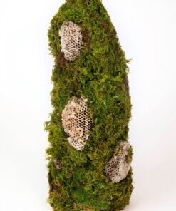 Jenn Mishler
