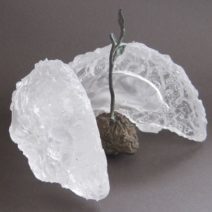 Sharon Bladholm