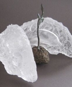 Sharon Bladholm