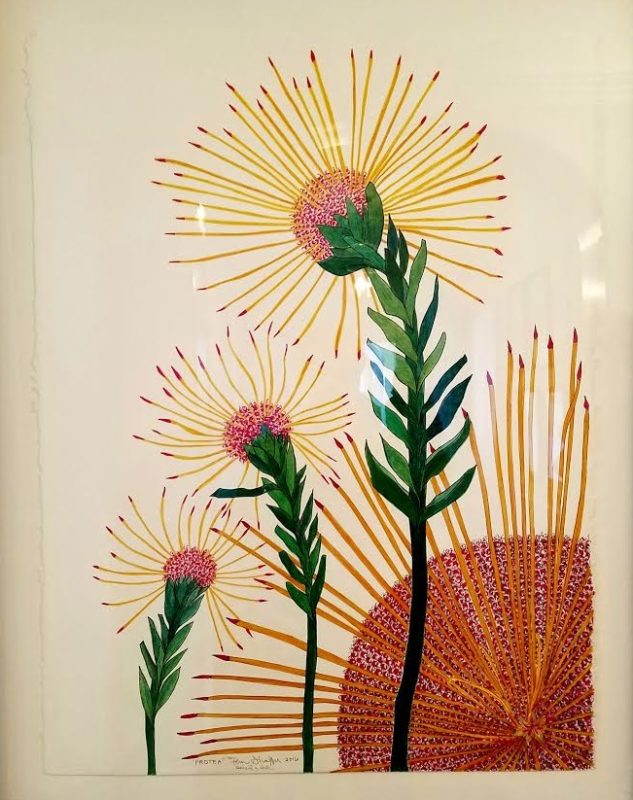 Fern Shaffer