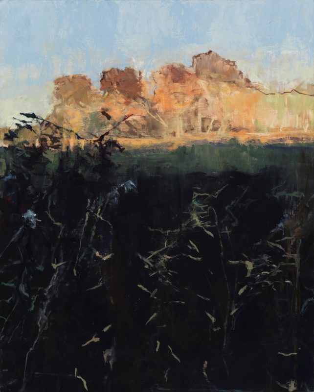 Ellen Holtzblatt