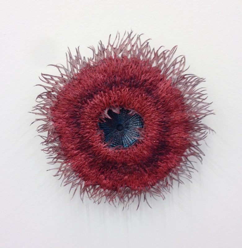Heather Beardsley