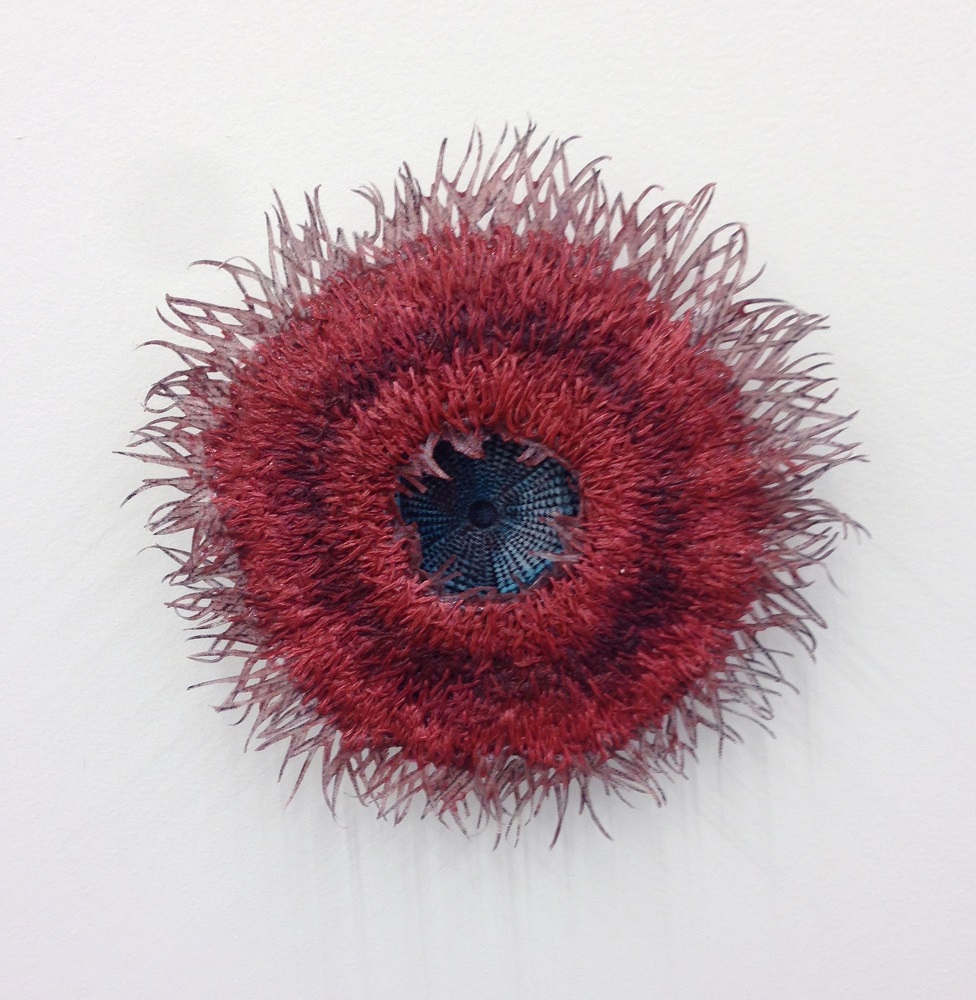 Heather Beardsley