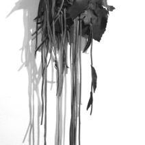 Shannon Molter
