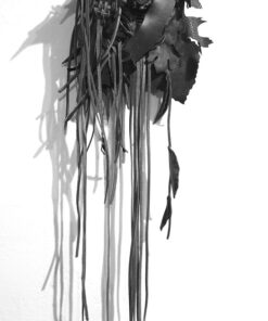 Shannon Molter