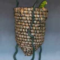 Alternative view of Suzanne Shafer-Wilson