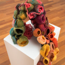 Emily Hoxworth