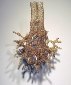 Anne Mondro