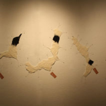 Juliann Wang