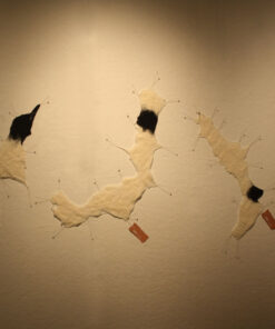 Juliann Wang
