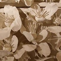 Fran Bull - Image 20