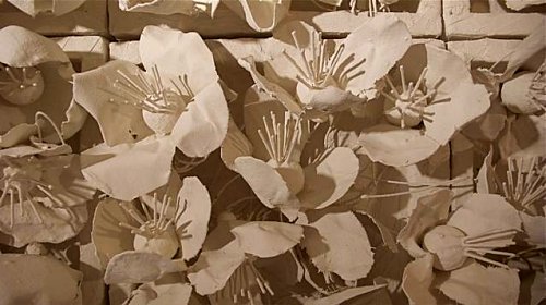 Fran Bull - Image 20