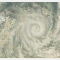 Alternative view of Claudia Kleefeld Patterns of Nature: The Spiral and Interconnectedness