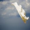 Jane Fulton Alt