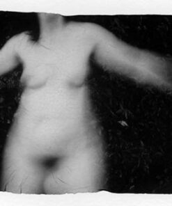 Adrienne Defendi