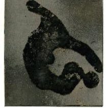 Stefanie Ramsey
