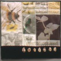 Linda Campbell Reilly
