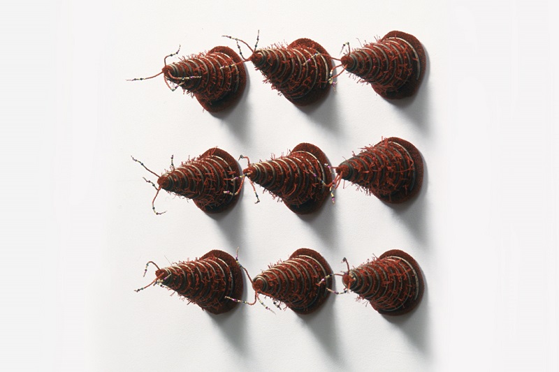 Annette Tacconelli - Image 2