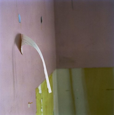 Mary Farmilant