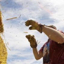 In Praise of Physical Labor