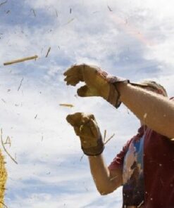 In Praise of Physical Labor