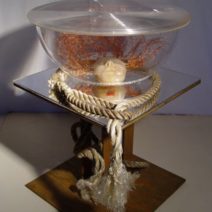 Pearl Hirshfield