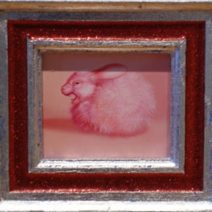 Laurie Hogin