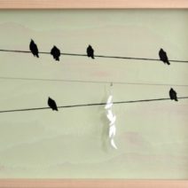Amy Sacksteder