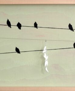 Amy Sacksteder