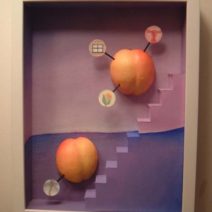 Lauren Shover