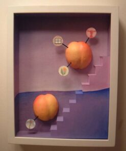Lauren Shover