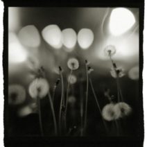 Jennifer Drucker