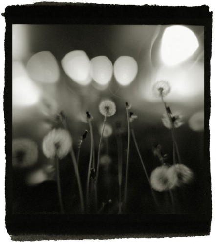 Jennifer Drucker