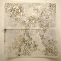 Kate Friedman