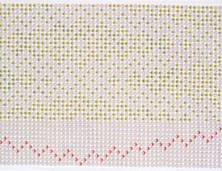 Amie Adelman