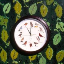 Time #4