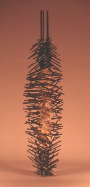 Andrea Waxman