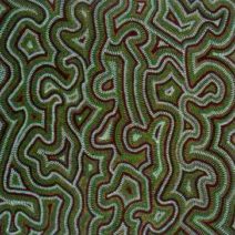 Eileen Wallach