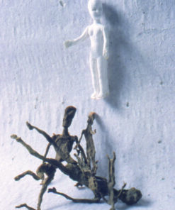 Anne McKeown