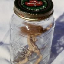 Jennifer Weigel