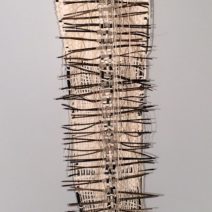 Ann Quinn