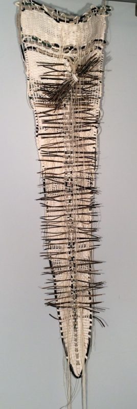 Ann Quinn