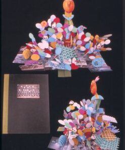 Colette Fu