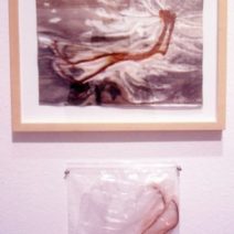 Sara  Waters