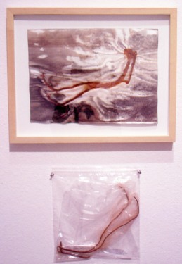 Sara Waters