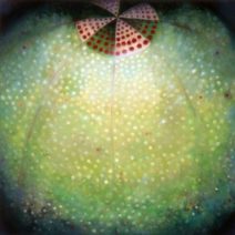 Jill Sutton