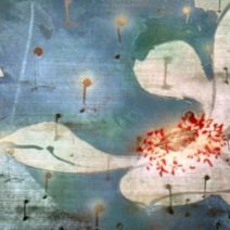 Jing Zhou