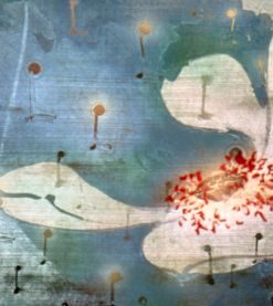 Jing Zhou