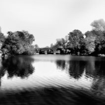 Alternative view of Rose Blouin