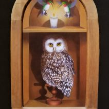 Nancy Hild Gallery - Image 22